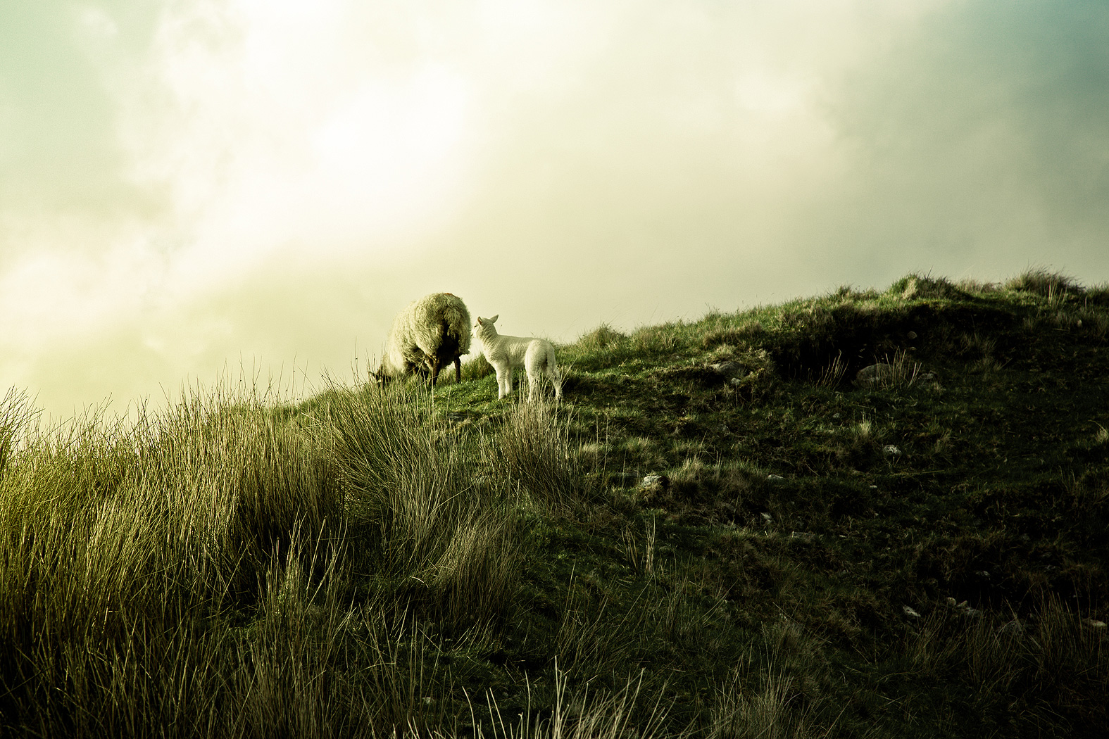 Irland Irland
