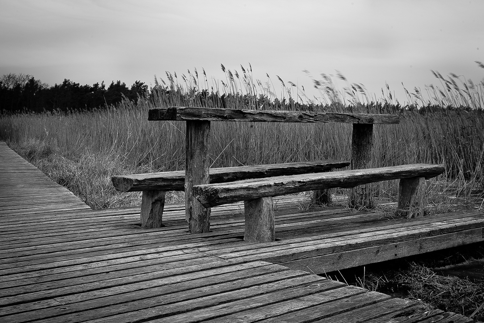 Ostsee Ostsee