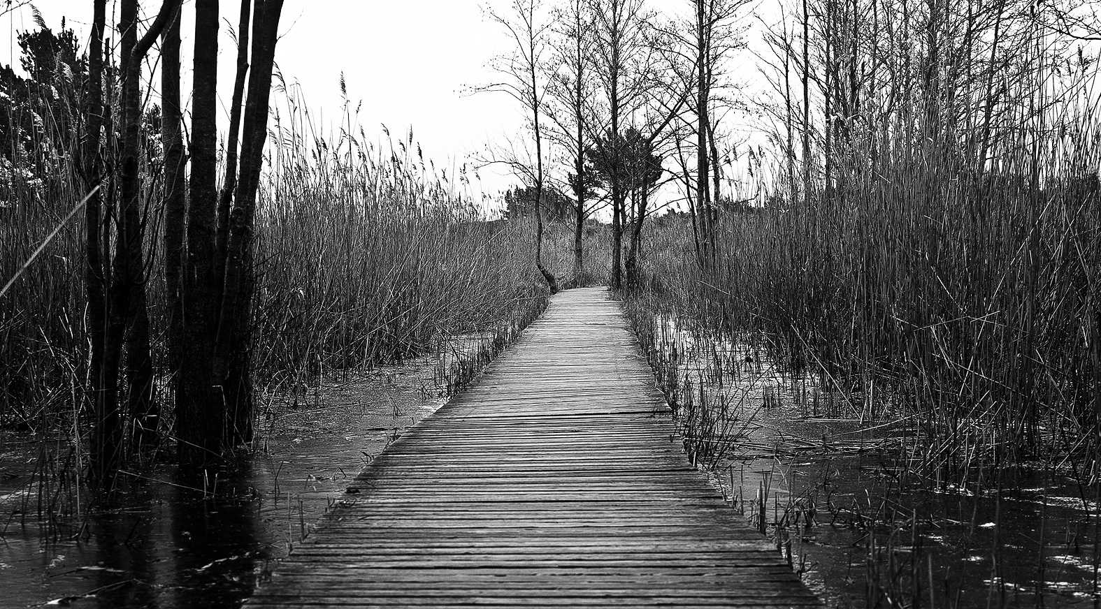 Ostsee Ostsee