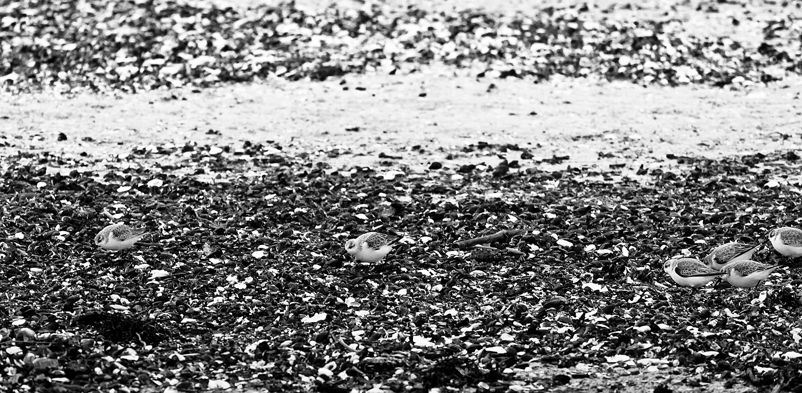 Ostsee Ostsee