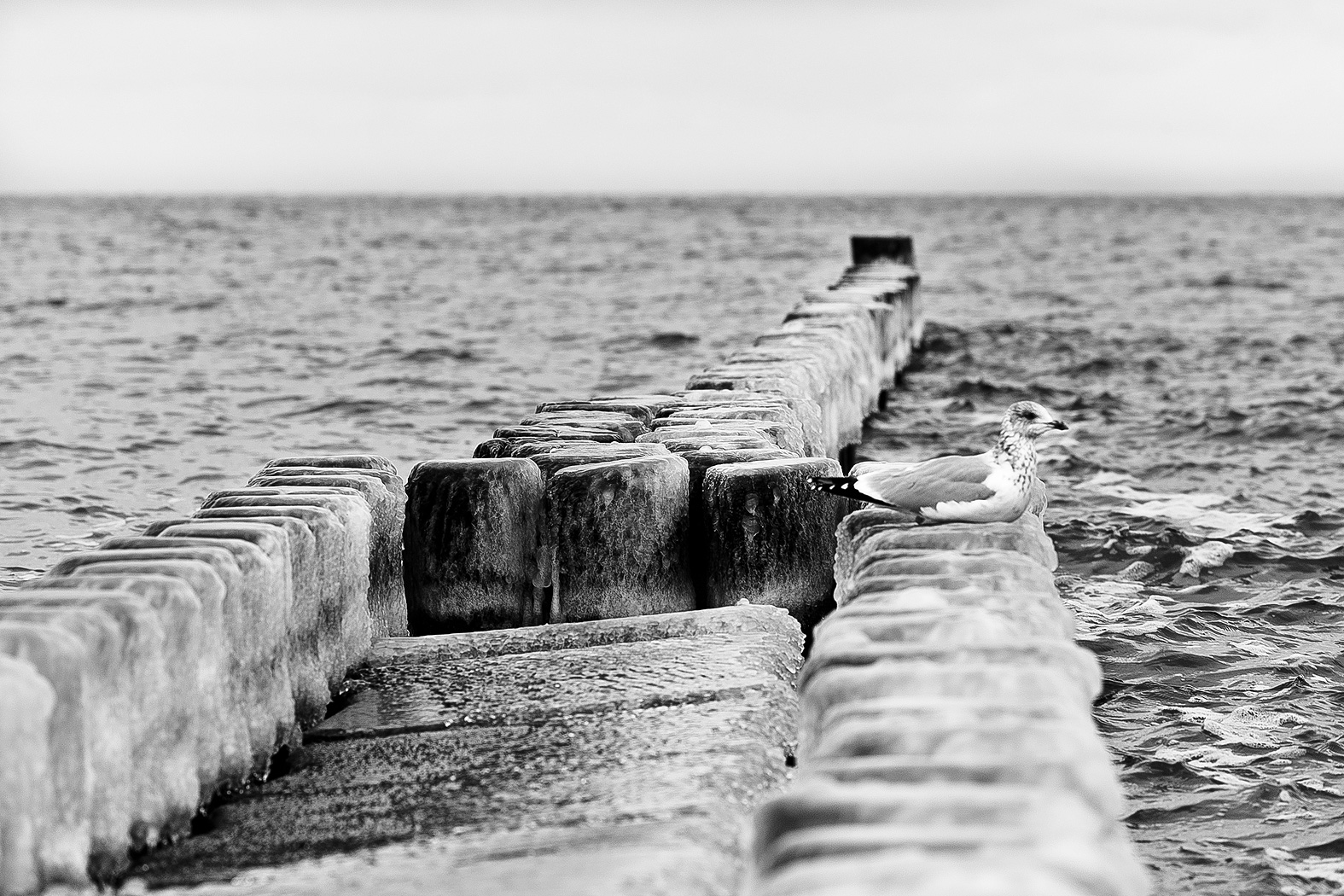 Ostsee Ostsee