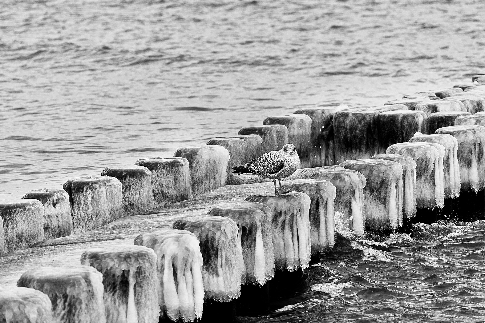 Ostsee Ostsee